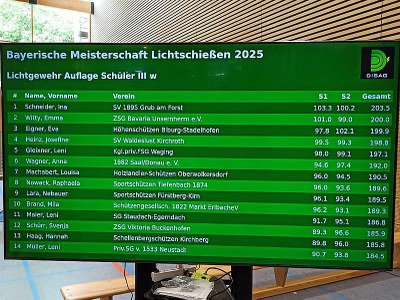 BM25-B06-LiG 